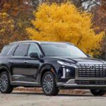 New Hyundai Palisade