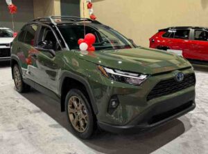 Toyota RAV4 Woodland